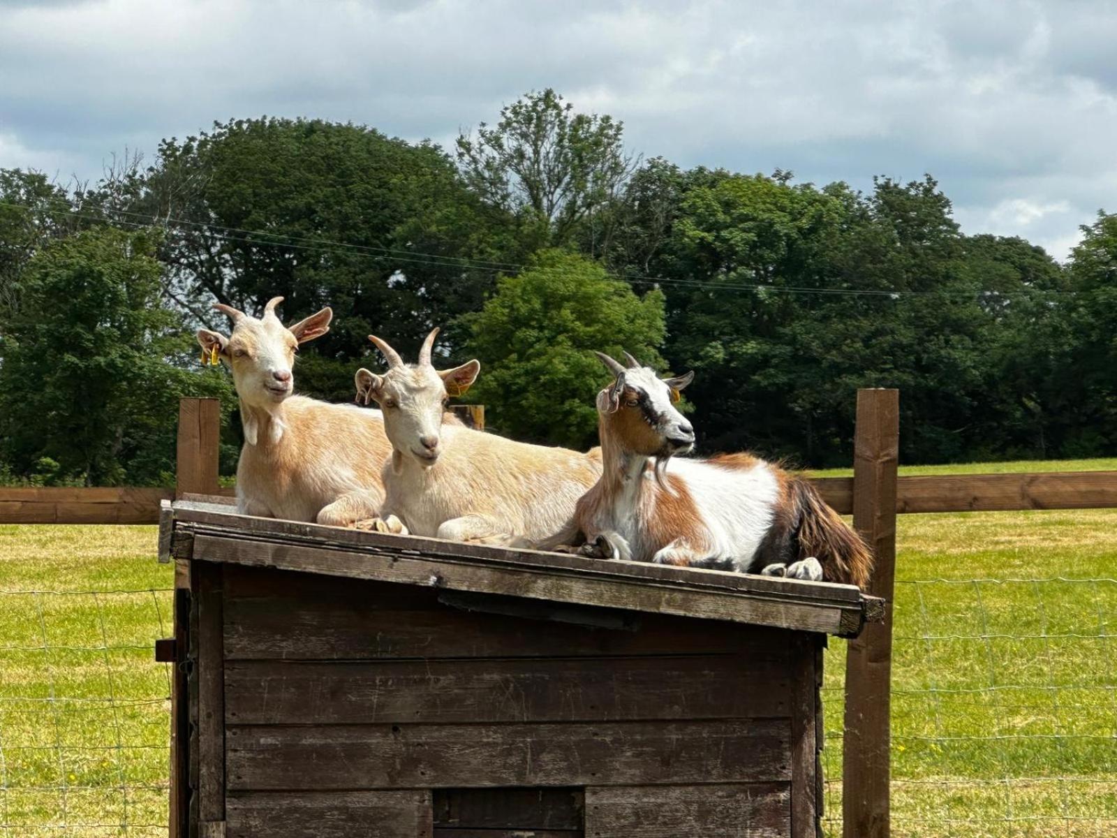The Cow Shed Apartment นาร์เบิร์ธ ภายนอก รูปภาพ